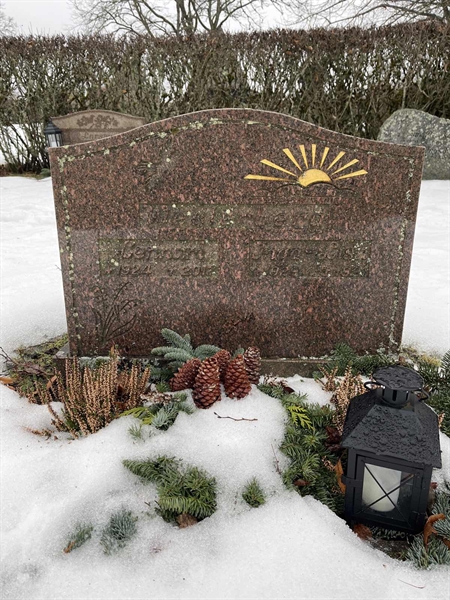 Hautatunnus: SJ M    87