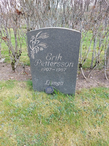 Grave number: HÖ 8  165