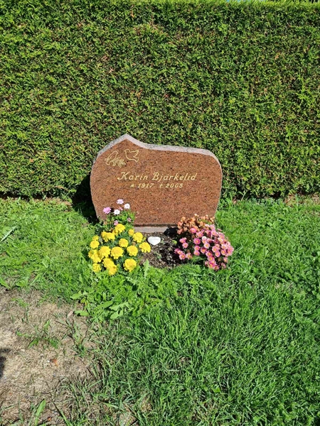 Grave number: 1 05   29