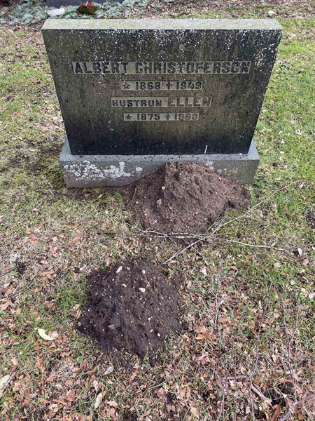 Grave number: 10 D    77-81