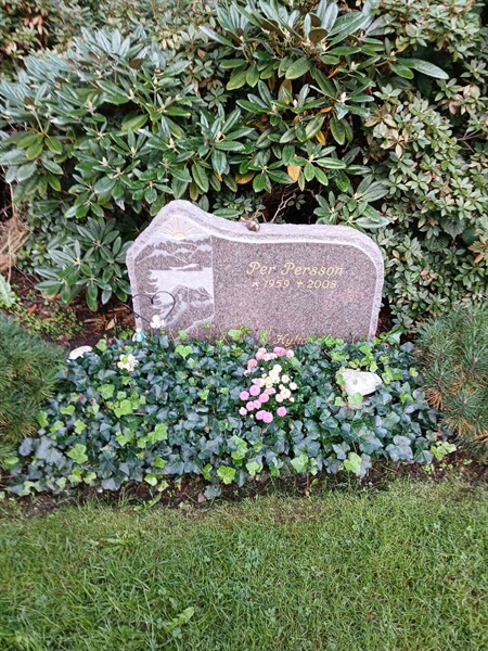 Gravnummer: ÖB 29    84, 85