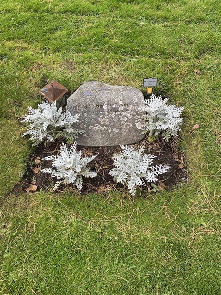 Hautatunnus: 2 C   364