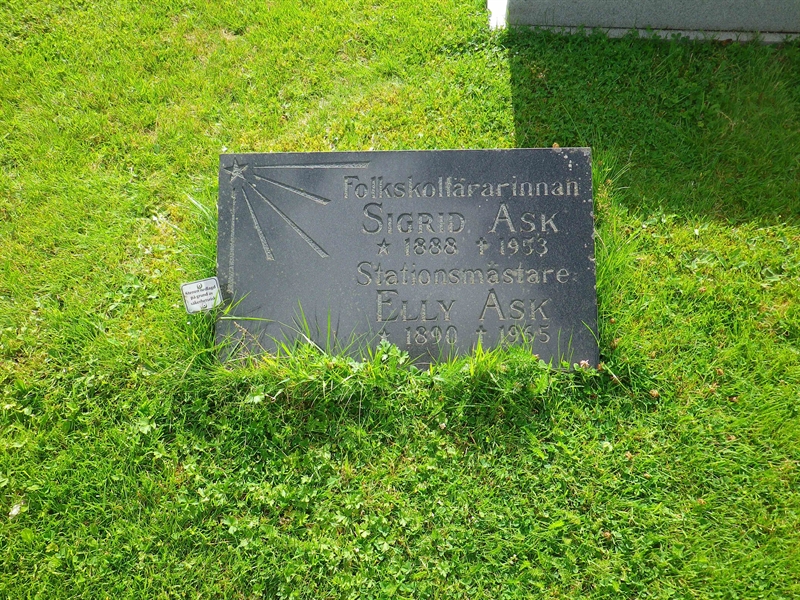 Hautatunnus: LO F     7, 8