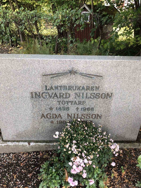 Grave number: TK G   182