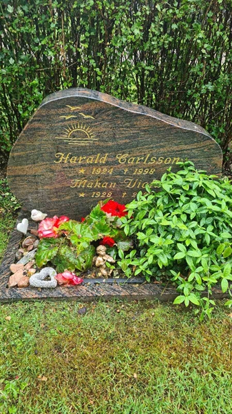 Hautatunnus: M N 24 55