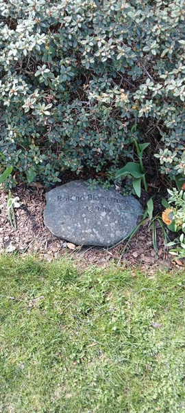 Grave number: 3 Nya U    22