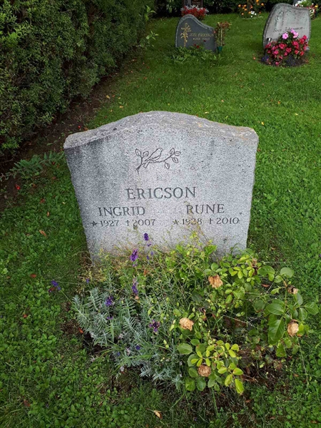 Gravnummer: NK F D   295