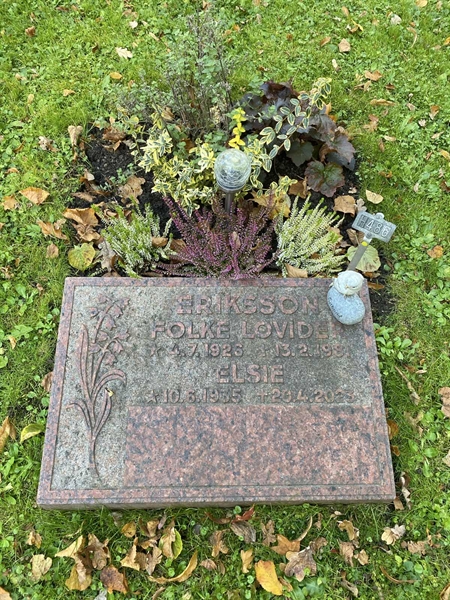 Hautatunnus: 1 H   486