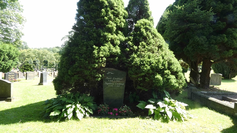 Hautatunnus: SN D   170