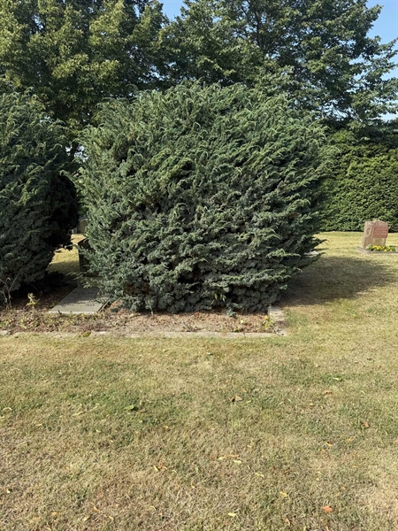 Grave number: SP A   167