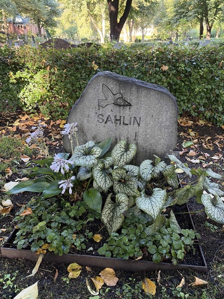 Grave number: 1 F   248
