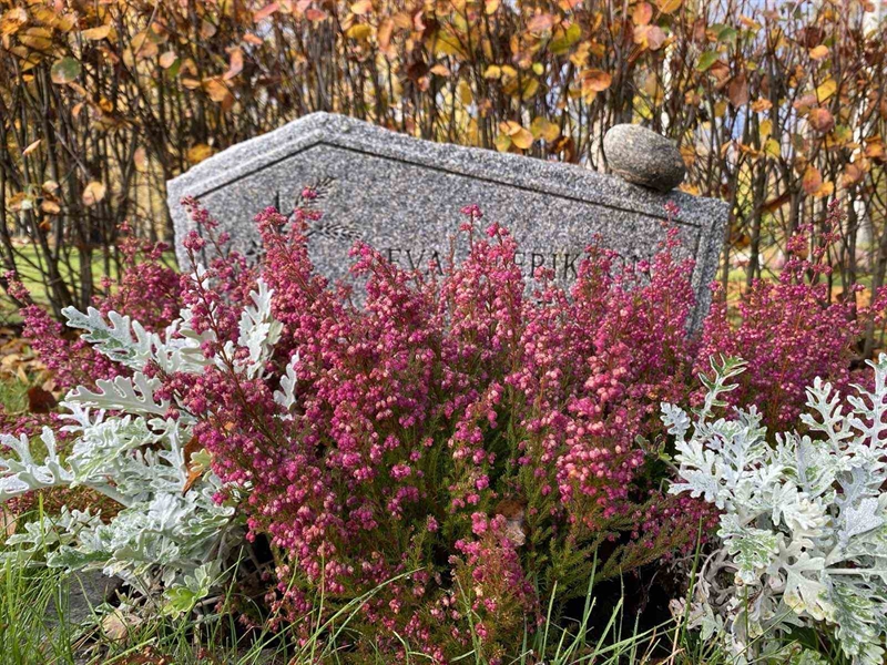 Grave number: 1 24     61