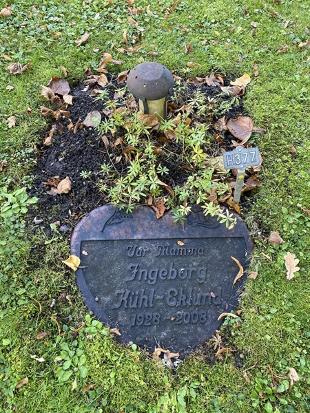 Hautatunnus: 1 H   377