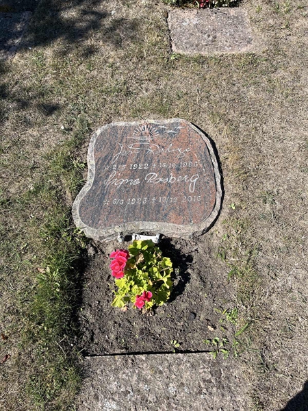 Grave number: NK I:u   463