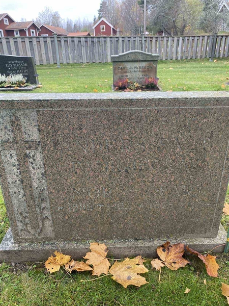 Grave number: 6 03    100, 101