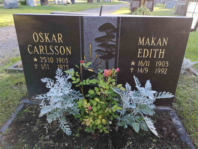 Hautatunnus: VLM 11    36:1-2