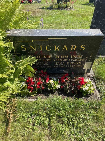 Hautatunnus: N 5 1    36