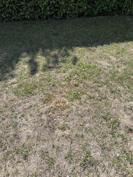 Grave number: NK I:u    22