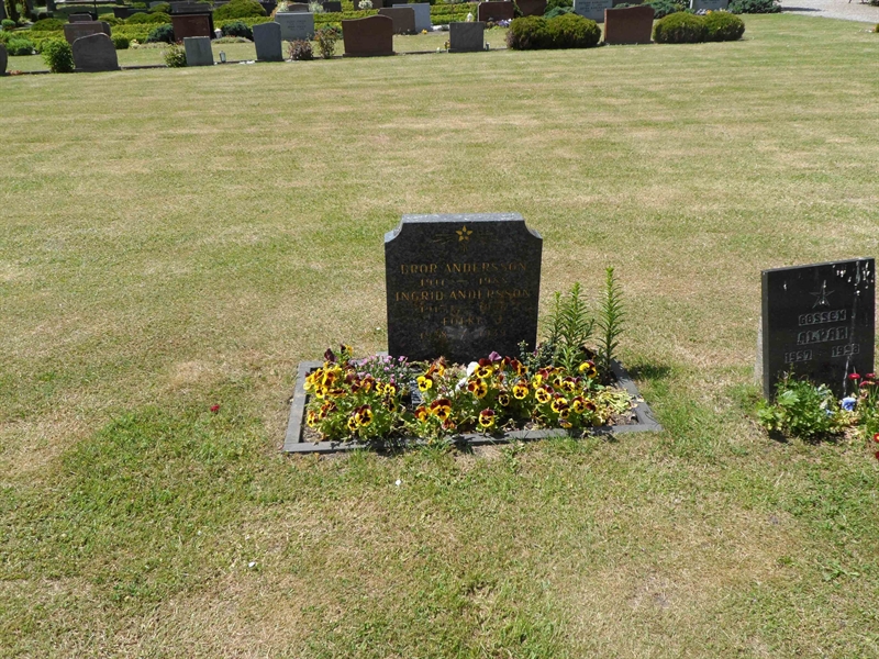 Grave number: ÖV I   114