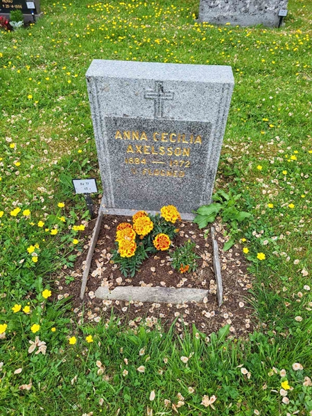 Grave number: kö 01 17    49