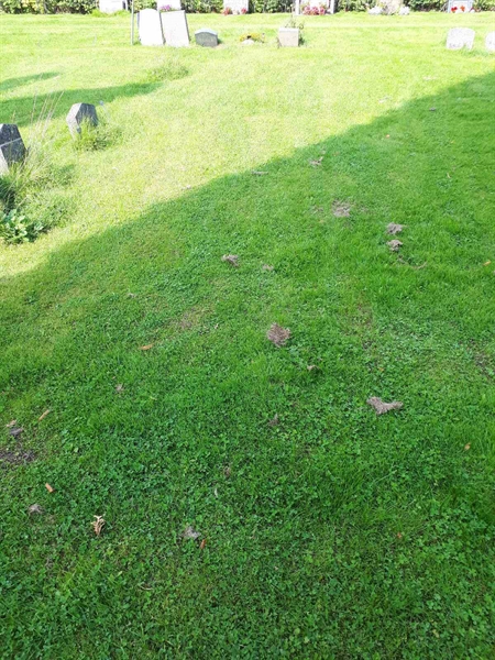 Gravnummer: NK A A   288A