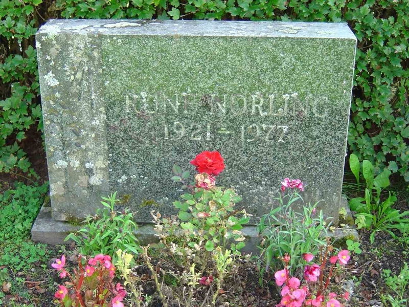 Grave number: A F  324