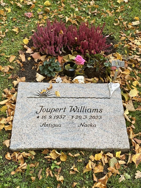 Grave number: 1 H   210