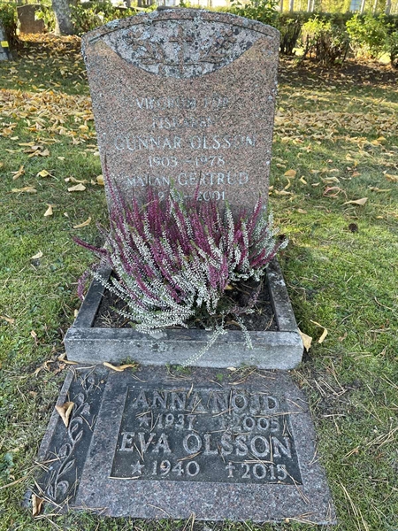 Grave number: 1 D1    38-39