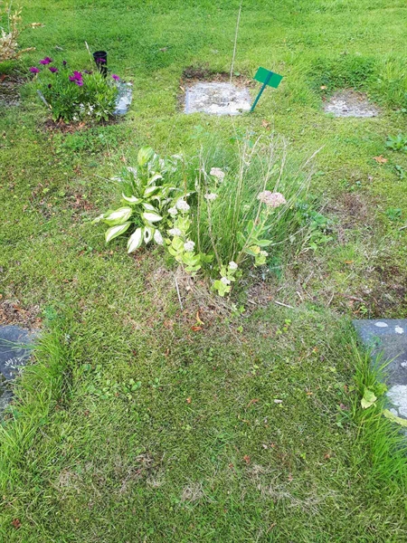 Gravnummer: NK A A   227