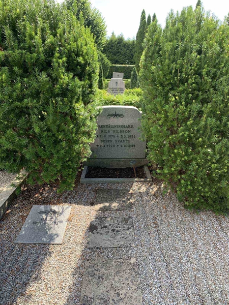 Grave number: NK VIII    59