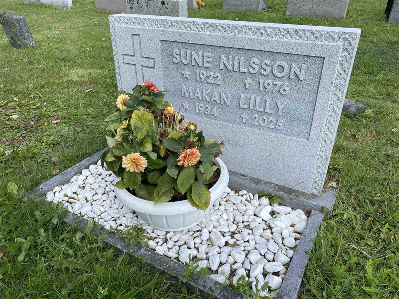 Grave number: 2 08 463