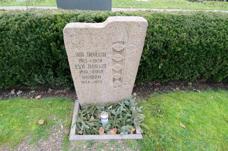Grave number: TR 3   142