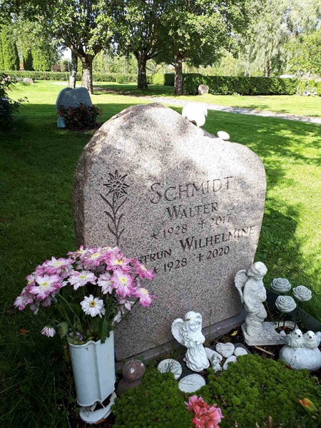 Hautatunnus: NK F D   470