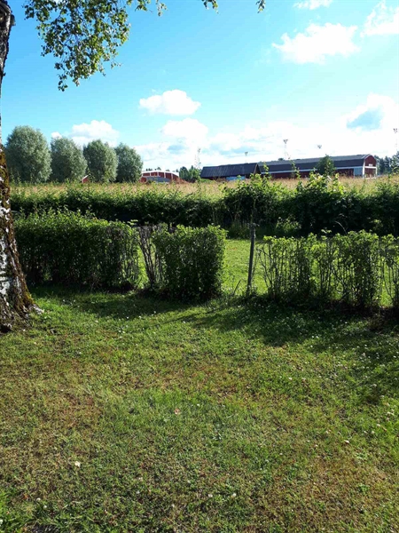 Gravnummer: GK F 5   465