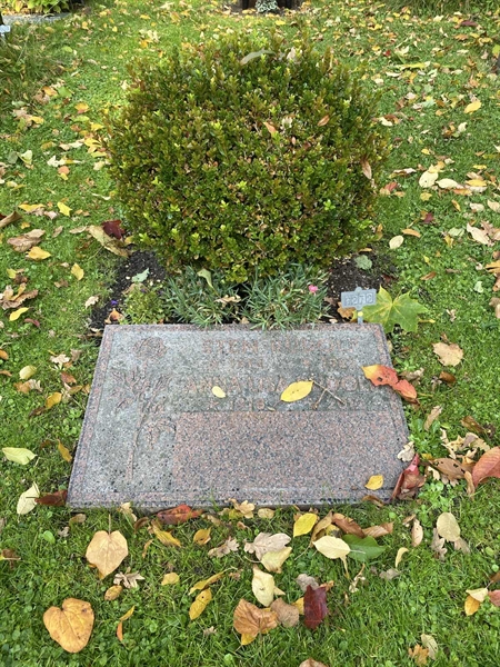 Hautatunnus: 1 H   272