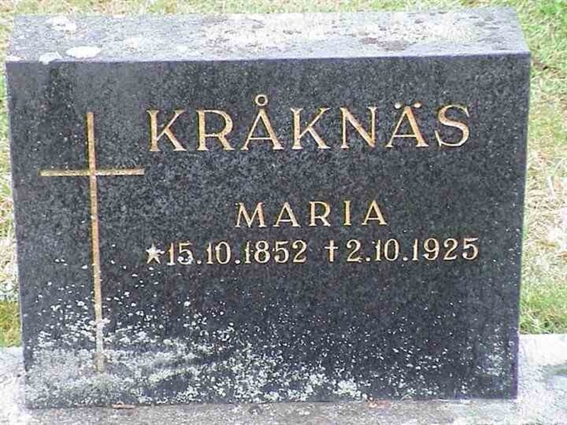 Hautatunnus: 1 GD 10    157