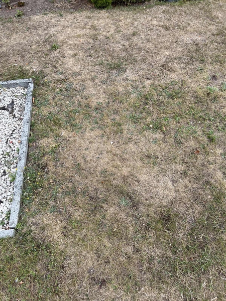 Grave number: NK XX:u   373