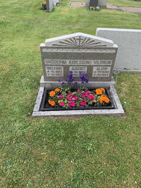 Grave number: 2 V 31