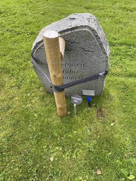 Hautatunnus: 2 C   287