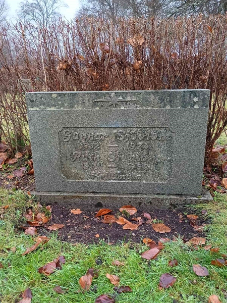 Gravnummer: 2 C    79, 80