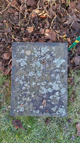 Hautatunnus: 6 05     39