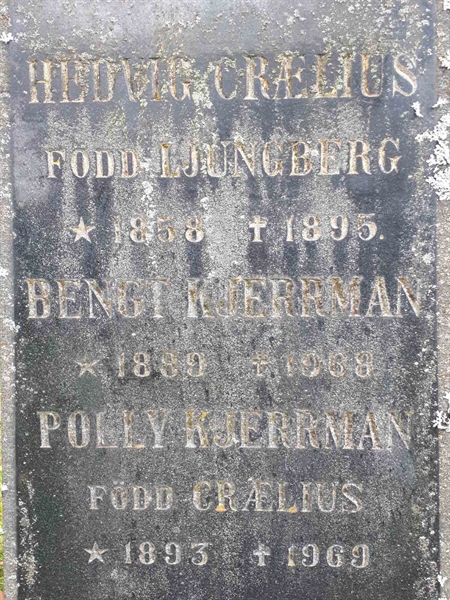 Gravnummer: GK F 1   207