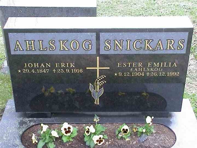 Grave number: 1 GF 04    217