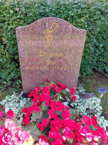 Hautatunnus: 1 D   106