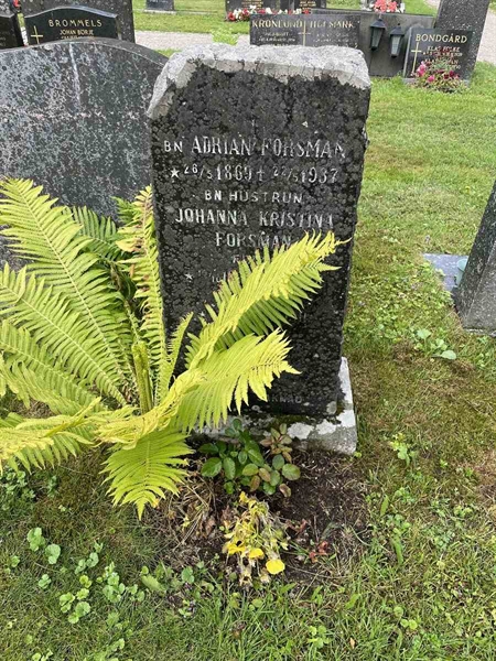 Hautatunnus: N 4 3   391