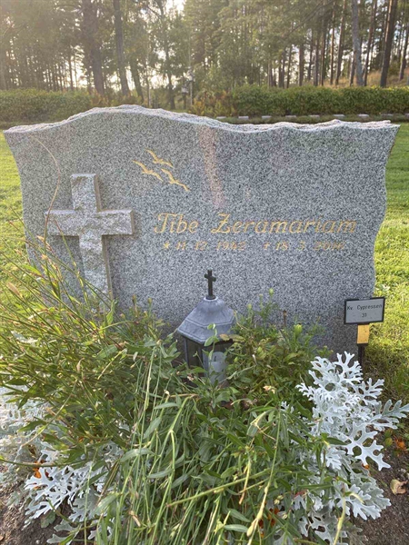 Hautatunnus: 2 C    31