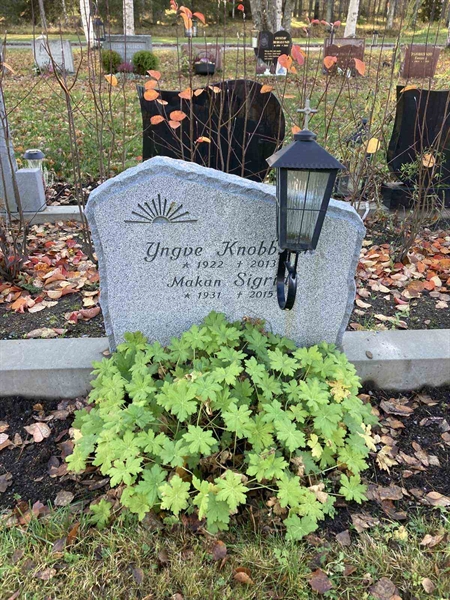 Grave number: 3   247