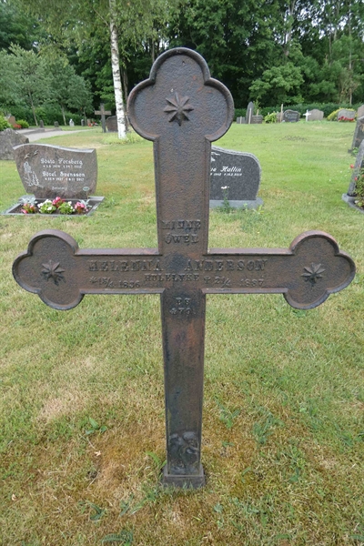 Grave number: TÖ 4   238