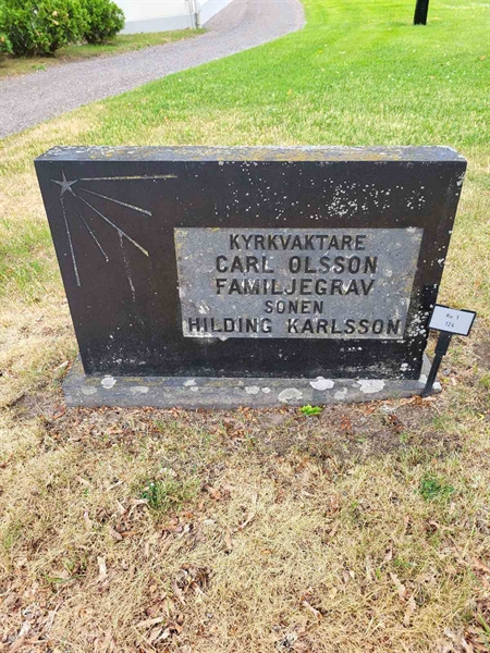 Grave number: Jä 01   124