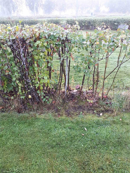 Gravnummer: NK F B   138